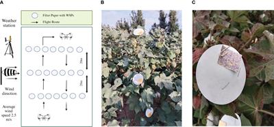Effect of formulations and adjuvants on the properties of acetamiprid solution and droplet deposition characteristics sprayed by UAV